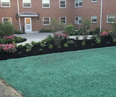 Chautauqua Hydroseeding, Lawn Drainage and Tree Planting