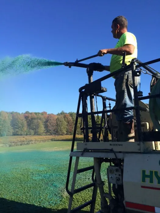 Chautauqua Hydroseeding, Lawn Drainage and Tree Planting Picture 4