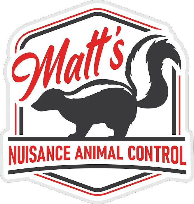 Matt's Nuisance Animal Control Picture 2