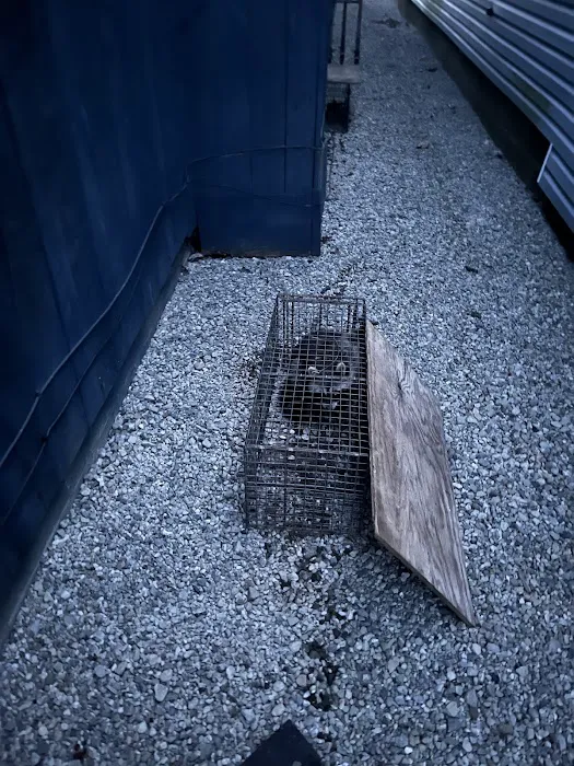 Matt's Nuisance Animal Control Picture 1