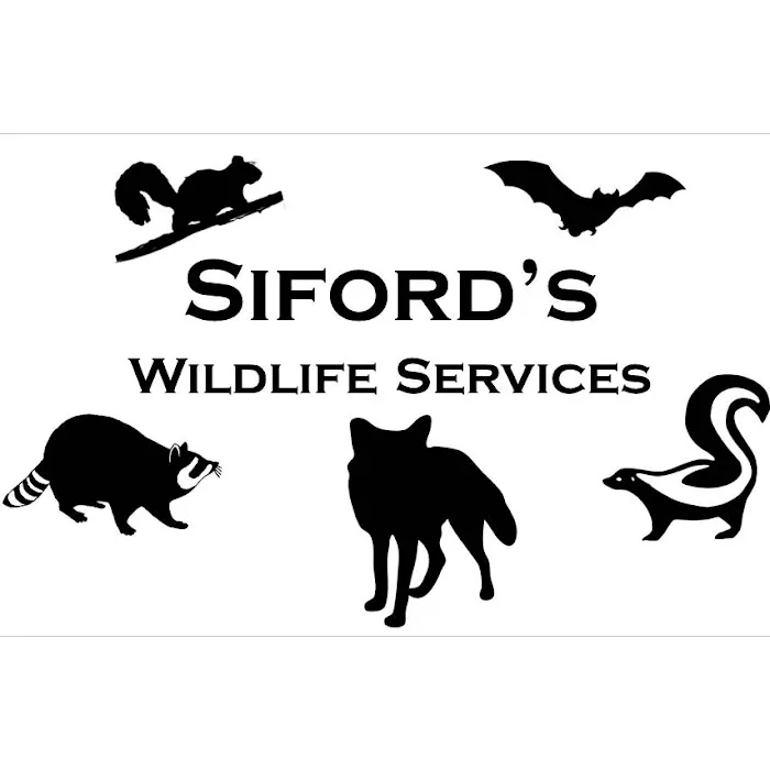 Siford's Wildlife Services Picture 8