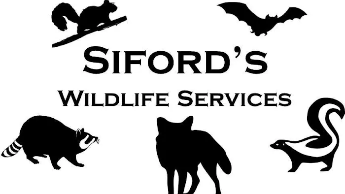 Siford's Wildlife Services Picture 2