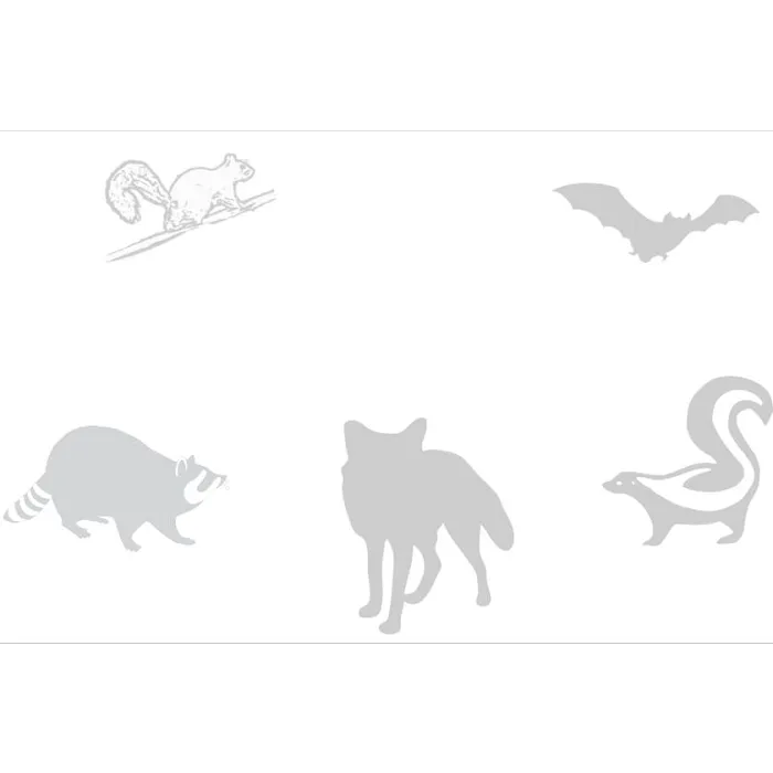 Siford's Wildlife Services Picture 7