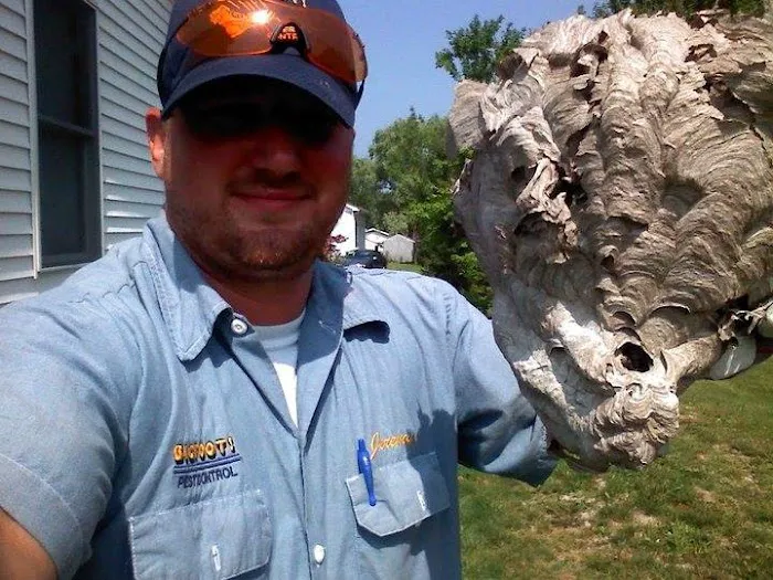 Bigfoot Pest Control Picture 1