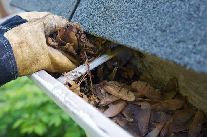 Bigfoot Pest Control Picture 10