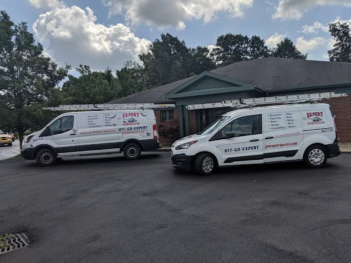 Expert Pest Management Picture 10