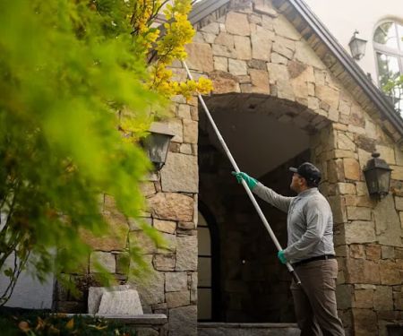 Greenix Pest Control