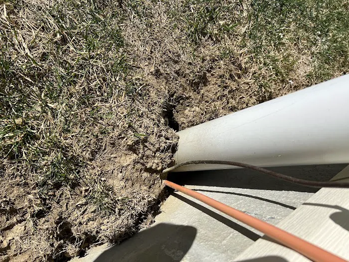 Greenix Pest Control Picture 4