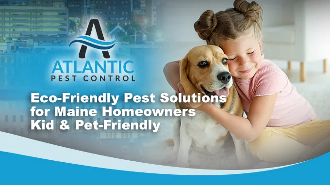Atlantic Pest Control Picture 4
