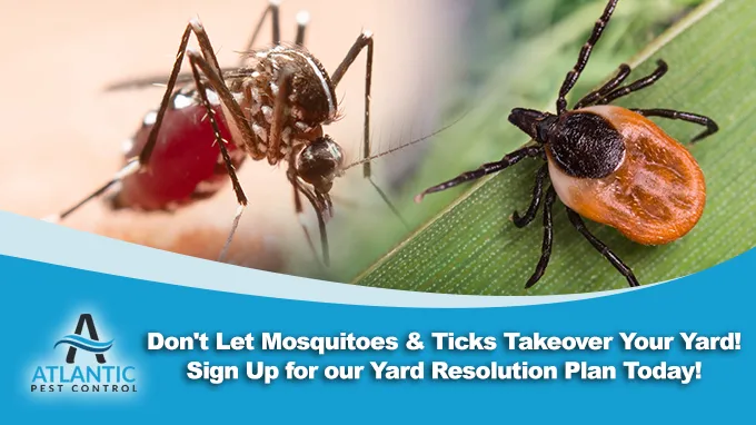 Atlantic Pest Control Picture 2