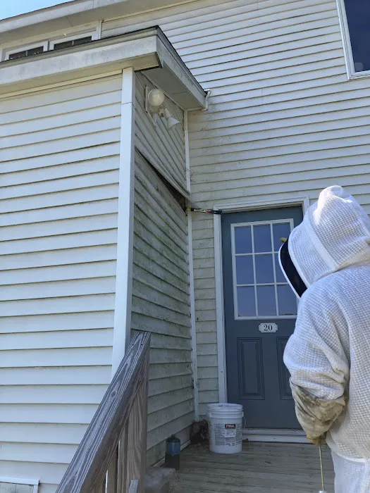 Atlantic Pest Control Picture 5