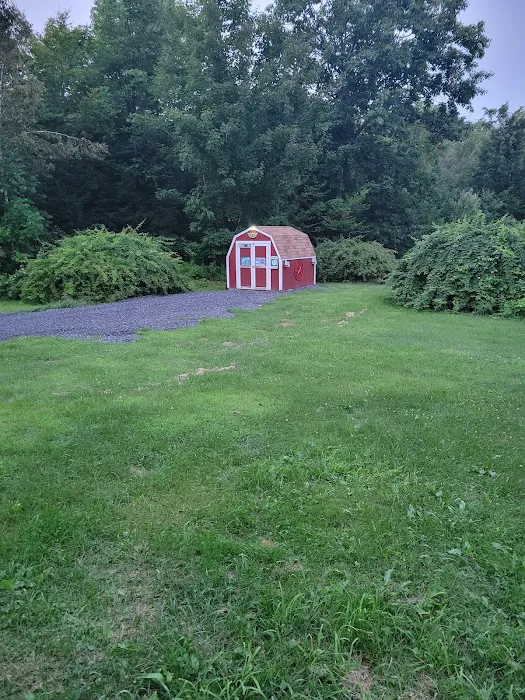 Gotbugs Pest Services Picture 7