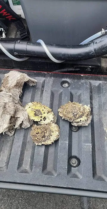Gotbugs Pest Services Picture 10