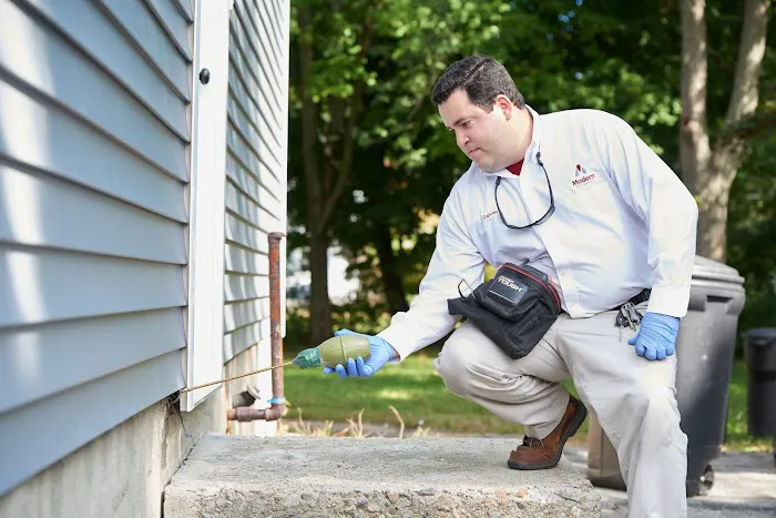 Modern Pest Services Picture 2