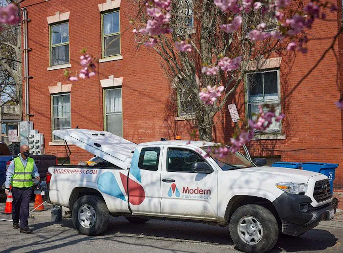 Modern Pest Services Picture 10