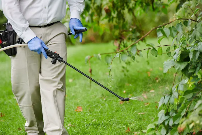 Modern Pest Services Picture 7