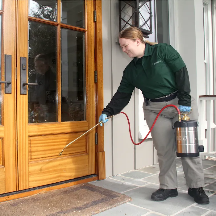 PestNow Picture 2