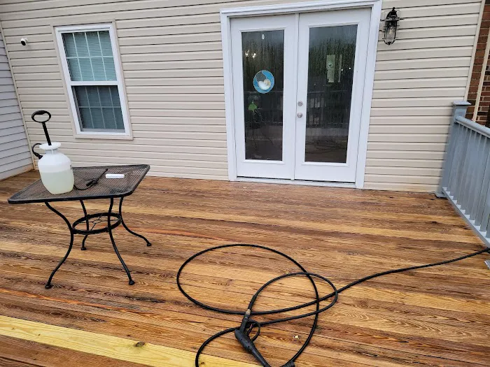 Absolute Home and Pest Solutions Picture 10