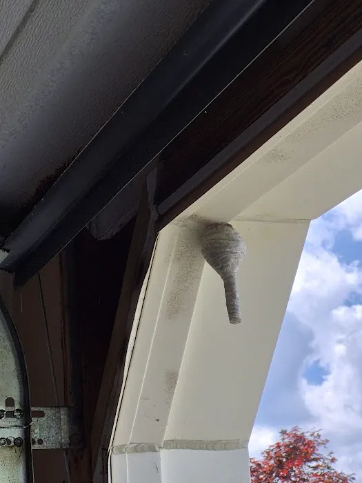 Environmental Pest Control Picture 7