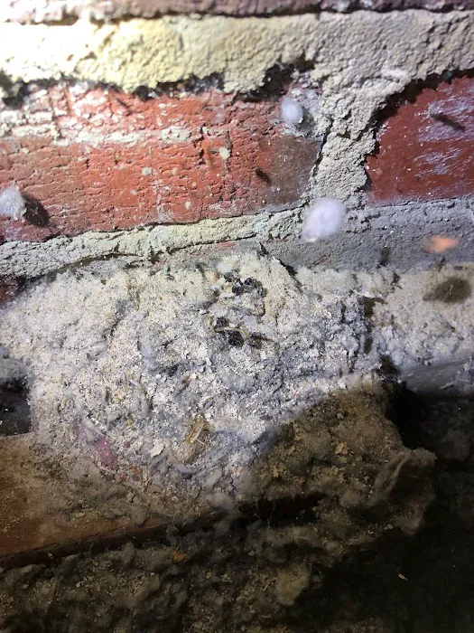Complete Pest Solutions Picture 4