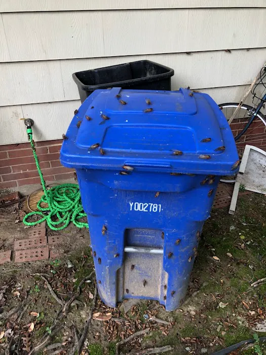 Complete Pest Solutions Picture 3