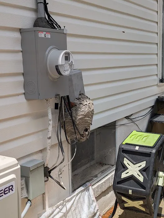 Complete Pest Solutions Picture 1