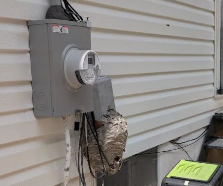 Complete Pest Solutions