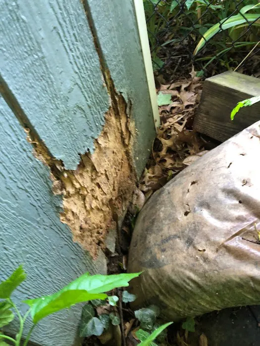 Complete Pest Solutions Picture 7