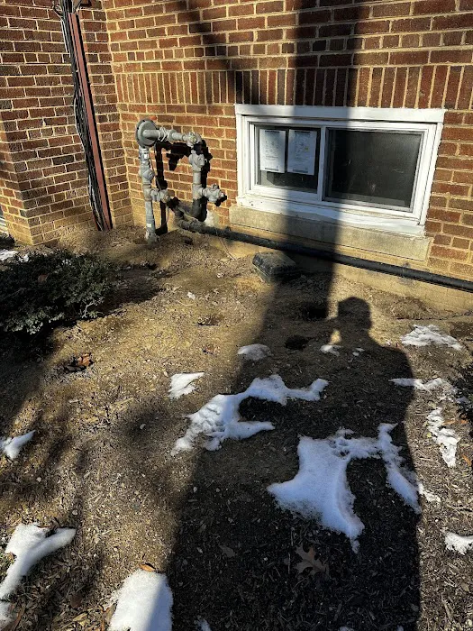 BC Exterminating Services Picture 10