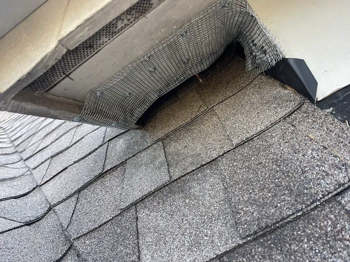 BC Exterminating Services Picture 1