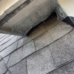 BC Exterminating Services