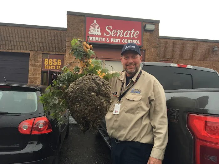 Senate Termite & Pest Control Picture 9