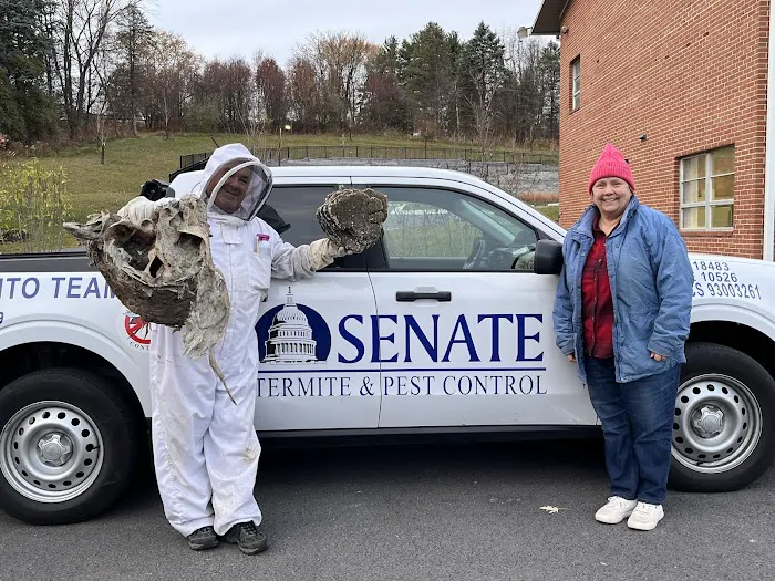 Senate Termite & Pest Control Picture 6