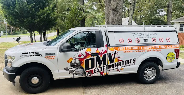 DMV Exterminator's Pest Control - Bed Bugs Picture 7