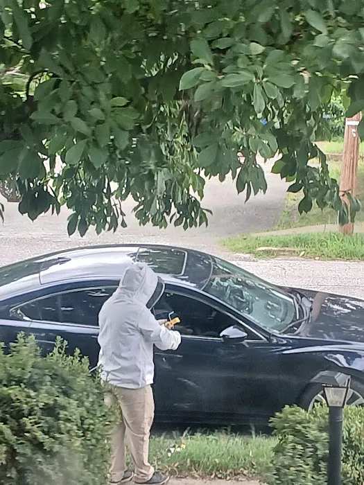 Arterix Pest Control, LLC Picture 5