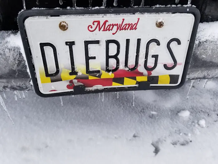 Budget Bugs Picture 6