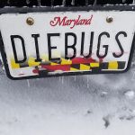 Budget Bugs