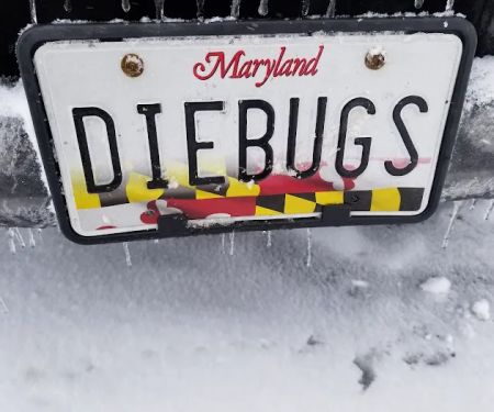 Budget Bugs