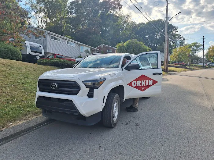 Orkin Picture 9