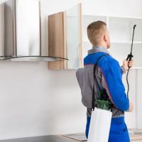 J & S Exterminating, Inc. ico