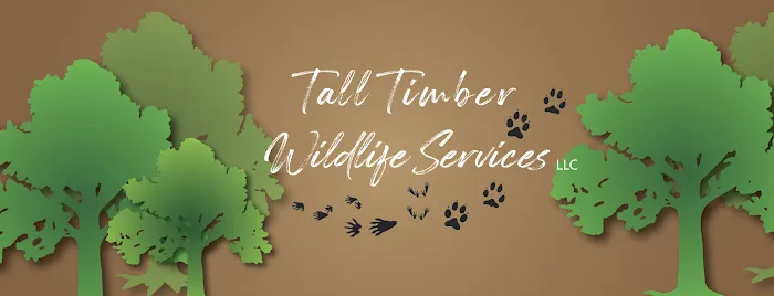 Tall Timber Wildlife Services LLC Picture 9