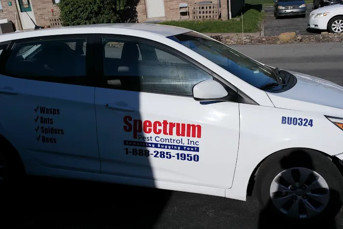Spectrum Pest Control Picture 8