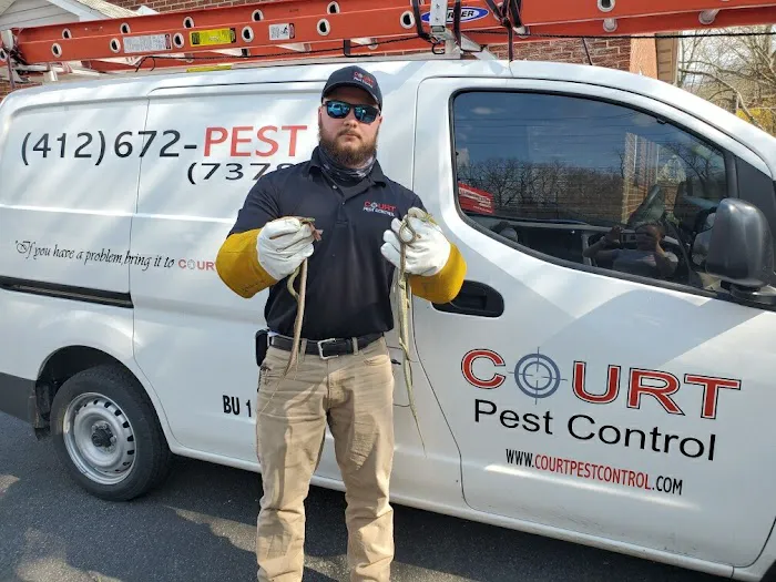 Court Pest Control LLC Picture 6