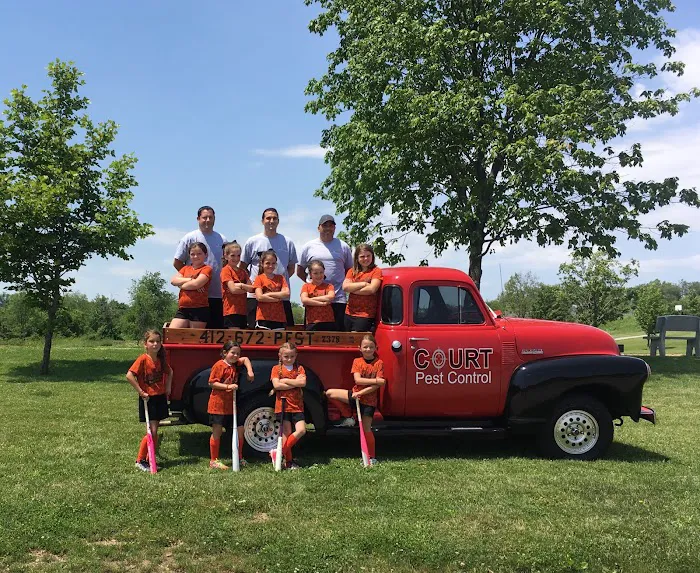 Court Pest Control LLC Picture 10