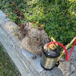 Court Pest Control LLC
