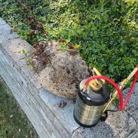 Court Pest Control LLC ico