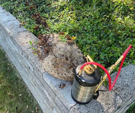 Court Pest Control LLC