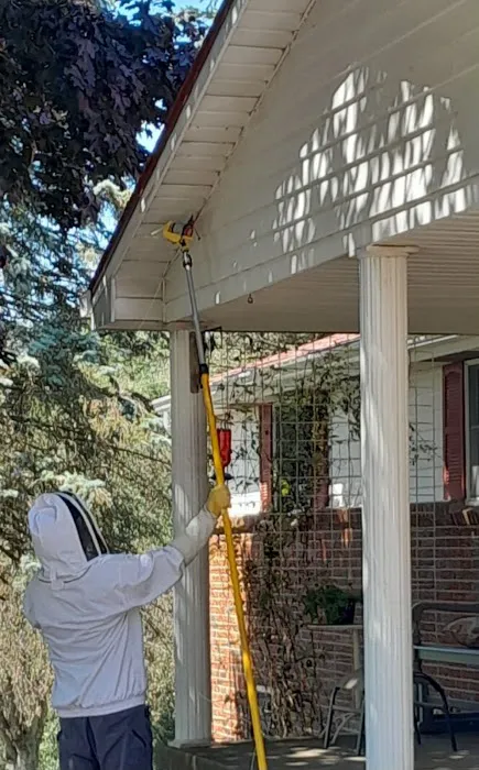 D-Bug Pest Control, Inc. Picture 7