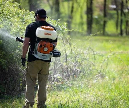 D-Bug Pest Control, Inc.