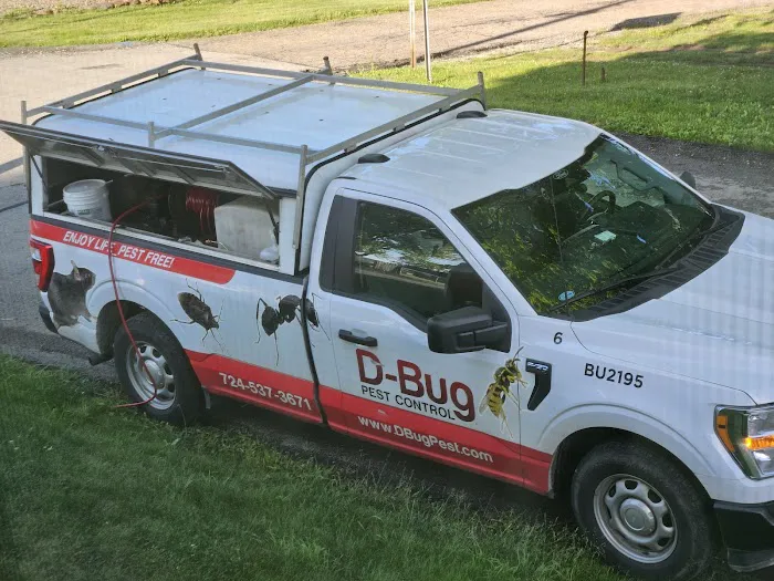 D-Bug Pest Control, Inc. Picture 8